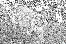 kedi Yazdırılabilir Boyama Sayfaları